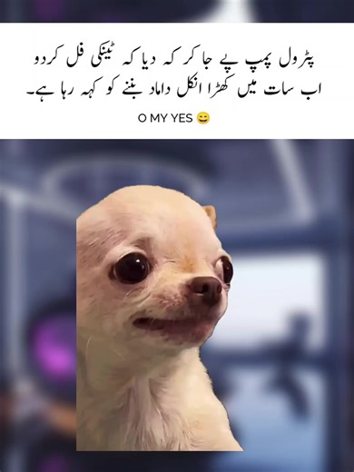 Follow 😂 #foryou #funny #memes #viral #unfeezmyaccount