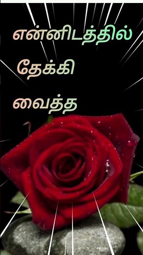 kadhalikka neramillai_ serial song_lyrical video song