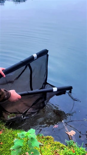 Back it goes nice and safe, this was a blank saver at 8am just as I was starting the slow pack up 😅🎣 #everyone #ukcarpfishing #mainline #korda #carp