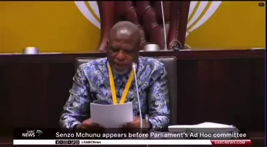 60 reactions · 5 comments | The teacher, the lecturer of Ad Hoc Committee is back 藍藍藍藍藍 there is no shortcut in laws ❤️✊ #voteeff2026 #voteeff2029 | Dj Look SA | Facebook