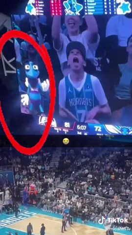 Sixty seven | bro thinks he's on the team