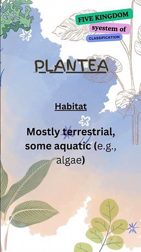 Kingdom Plantae Explained | Key Features, Examples & Sub-Groups | Biology Made Easy