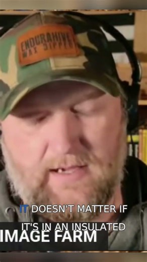 The Effects of Wind Chill on Honey Bees