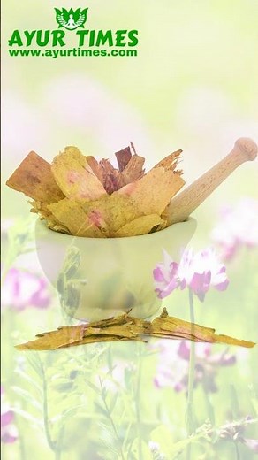 Astragalus Root Dosage