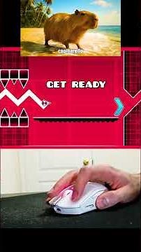 INSPECT the SOUND 🎋