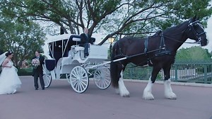 31K views · 606 reactions | Everyone deserves their princess moment. Don’t miss an all new episode of Disney’s Fairy Tale Weddings Monday, June 25 at 8/7c on Freeform. | Disney D23 | Facebook