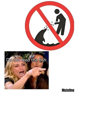 Another one indeed #memes
