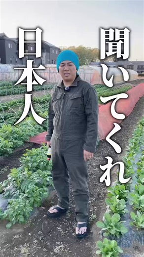この方の言う通り、スーパーの醤油の大半は偽物！本物の醤油の原料は「大豆・小麦・塩」！偽醤油に含まれる化学調味料のせいで味覚も壊れ腸内の良い菌も駆逐され体内環境も悪化する！これからは本物の醤油を使え！自身の健康と日本の誇り高き食伝統を受け継ぐためにも！#醤油作り