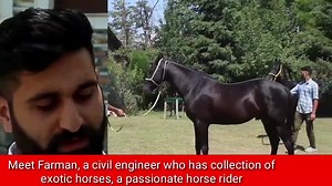 44K views · 736 reactions | Farman from Budgam , an engineer by profession, has a passion of horse rearing and riding which he got from his family.. He takes horses to other parts of India for exhibitions :: video by Kashmir Patriot | Discover Kashmir | Facebook