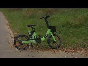 Canon EOS M - Magic Lantern | 4K Video (안산시 화정천의 가을 풍경 , autumn scenery , Ansan Korea)