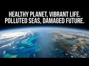 The Blue Planet | Ocean Facts, Climate Impact & Future | Ocean Conservation Education