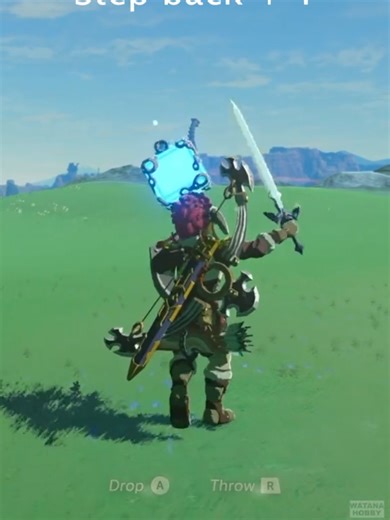 Zelda BOTW: Mastering Shield Block Reset and Thundercap Rush