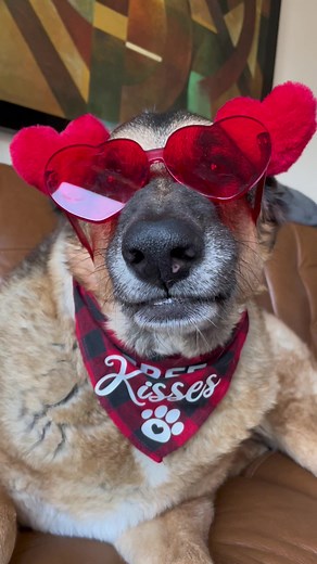 Sing Along to This Heartwarming Valentine's Day Song!