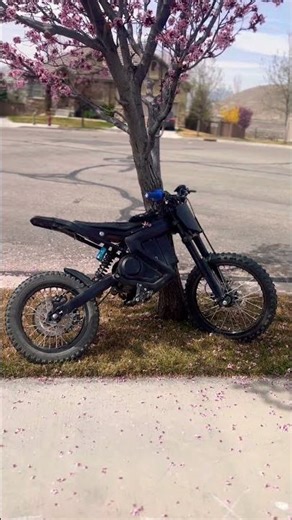 pink TREE 🌲 #surron #surronster #bikelife #eridepro #fyp