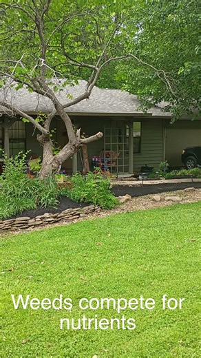 Landscaping job 1.1