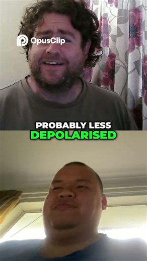 Remembering Simpler Times_ Less Depolarized Days