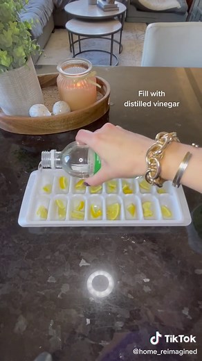 How to Make Homemade Garbage Disposal Disinfecting Pods