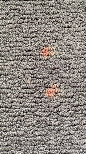 54K views · 624 reactions | Bleach spots | The Carpet Repair Guys | Facebook