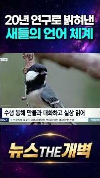20년 동안 새 소리만 파던 미친 과학자가 밝혀낸 한글과 새들의 충격적인 비밀 #shorts #뉴스더개벽