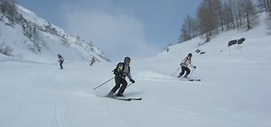 Ski packages: the best skiing in the Italian Alps with customised programs