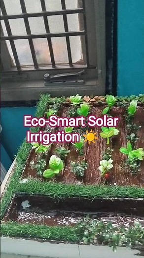 Eco-Smart Solar Irrigation ☀️🌱 #solarirrigation #scienceproject