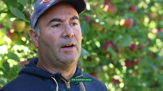 Irritec Stories - Azienda Agricola Melis | Irritec