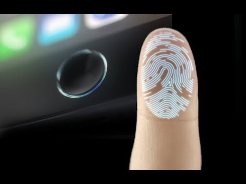 人的指纹为什么会独一无二呢？ Why are human fingerprints unique?