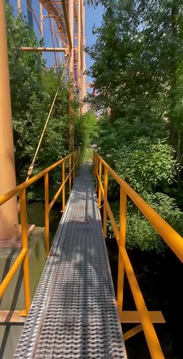 Cedar Point on TikTok