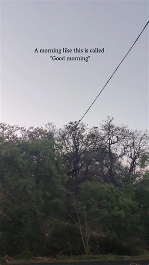 Good morning #algorithm #yourgrowthpartner #love #8millionviews #morningvibes #birdsounds #fyp