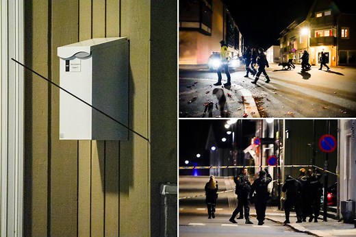 Norway: Several killed, injured in bow-and-arrow attack