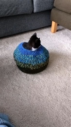 She loves it ❤️ #crochet #cat #catpod #cathouse #kittens #kitty | Amigurumi Crochet