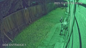 10 weeks post acl and fell