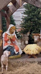 ✝️✝️✝️ St. Louis Cathedral - Nativity Scene ✝️✝️✝️ 🎁 Beautiful & Serene 🎁 ⭐️ Video by: Jeff Goad ⭐️ | Jeff Goad