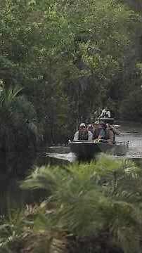 These Innovative Technologies Will Help Save Rainforest Biodiversity | XPRIZE Rainforest #shorts