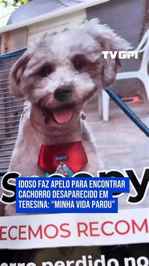 Portal GP1 on Instagram: "Há cinco meses a rotina do policial penal Marco Antônio tem sido dedicada na busca incessante pelo companheiro inseparável, o seu cachorro Snoopy. O animal desapareceu no dia 21 de julho ao se desprender da coleira durante um passeio de costume no bairro Marquês, zona norte da capital. Desde então, a angustia tem dividido espaço com a esperança. Ele conta que a família toda foi afetada com a ausência do animal e que está fazendo acompanhamento psicológico para lidar com