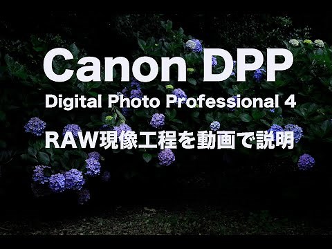 Canon DPPで初めてRAW現像をする人でも解る現像工程を動画で説明しています。