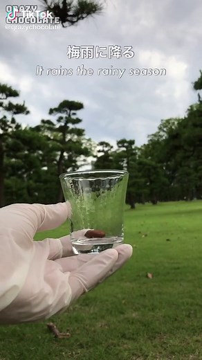 Discover the Delightful World of Cocoa Bird Seeds!