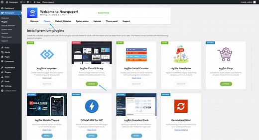 Newspaper Theme Documentation: How to use tagDiv Cloud Library