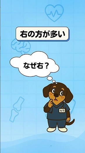 【肺炎】肺炎はなぜ右に多い？ #肺炎#誤嚥性肺炎#気管支#医療#医療知識#医療豆知識#健康#セラリハ