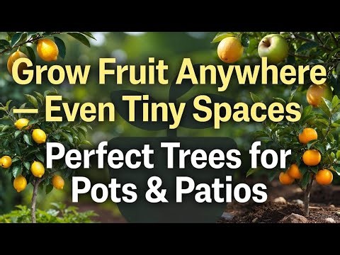 Top 10 Fruit Trees for Small Spaces That Grow INSANELY FAST in Pots