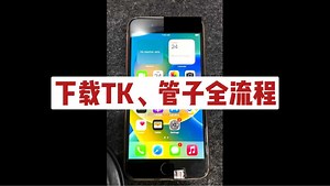 手把手教学，TK下载全流程