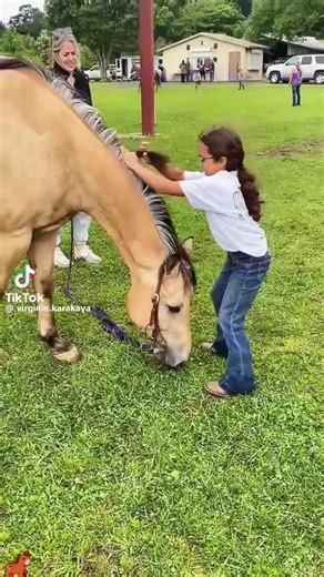 shelbi woodby (@shelbi.woodby)’s videos with original sound - shelbi woodby