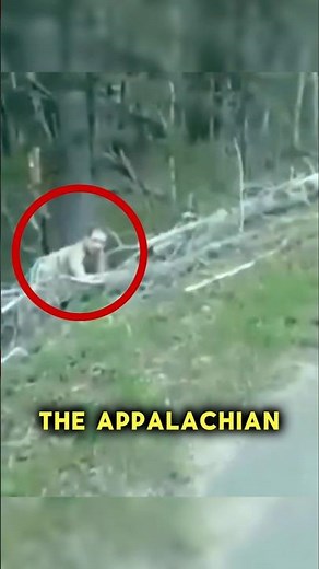 It Was Watching Them😳