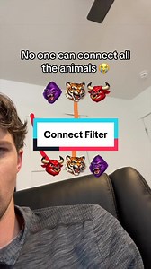 Connect Animals Filter Challenge — Can You Complete It?