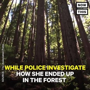 This young girl was found living among wild monkeys in the forest 🐒 | Interesting Things