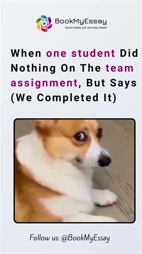 Group Project Drama: When Lazy Students Take Credit 😅 #assignment #funnyimages