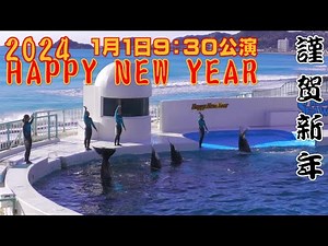 鴨川シーワールドシャチパフォーマンス【2024年1月1日9:30公演】