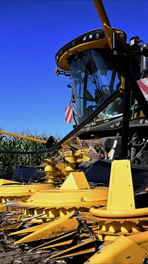 Sieczkarnia #NewHolland FR650 w polu. | New Holland Agriculture