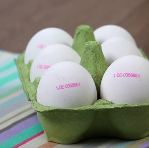 Si no sabes lo que significa el código impreso en los huevos, ¡aquí te lo explicamos! | Tipo Listo