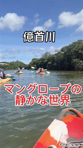 【沖縄】マングローブカヤックで野鳥に出会う癒やし旅 #大人旅 #沖縄 #沖縄旅行 #okinawa